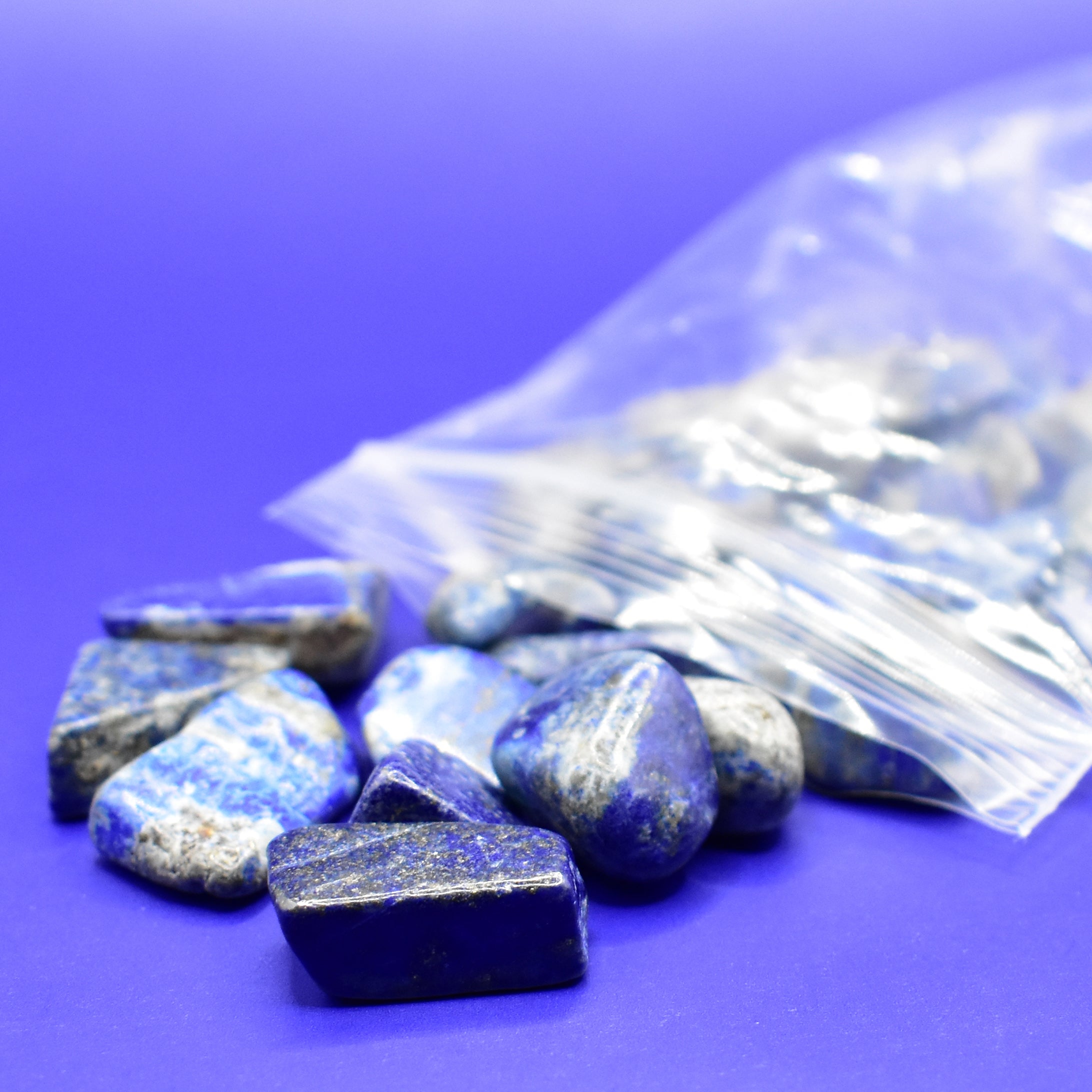 Lapis Lazuli 50g Shard Bag – Blue Moon Pup